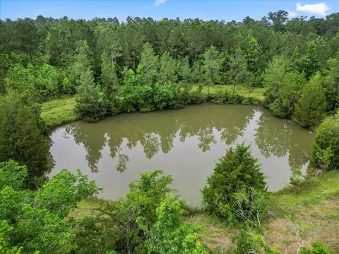 View/Area - tbd Sharp Ln, Coldspring, TX 77331 photo 9 of 28