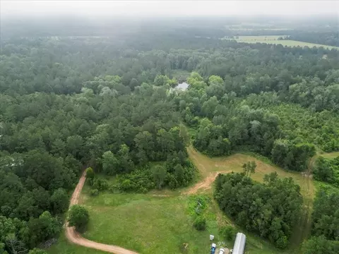 View/Area - tbd Sharp Ln, Coldspring, TX 77331 photo 4 of 28