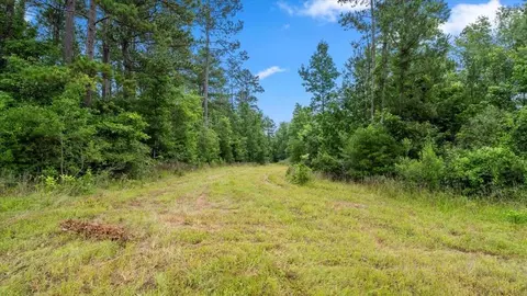Other - tbd Sharp Ln, Coldspring, TX 77331 photo 10 of 17