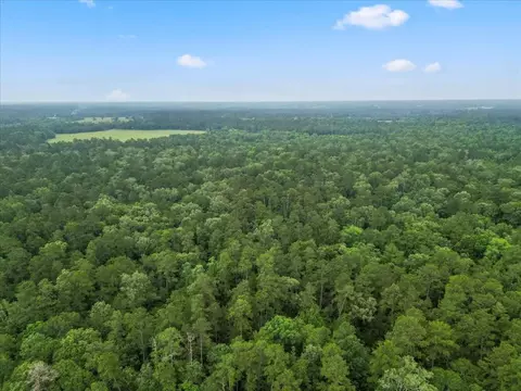 View/Area - tbd Sharp Ln, Coldspring, TX 77331 photo 19 of 28