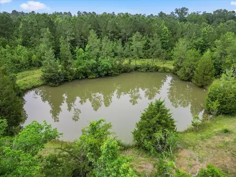 View/Area - tbd Sharp Ln, Coldspring, TX 77331 photo 8 of 28