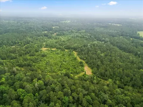 View/Area - tbd Sharp Ln, Coldspring, TX 77331 photo 22 of 28