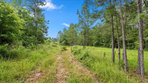 Other - tbd Sharp Ln, Coldspring, TX 77331 photo 15 of 17