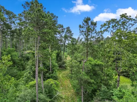 View/Area - tbd Sharp Ln, Coldspring, TX 77331 photo 15 of 28