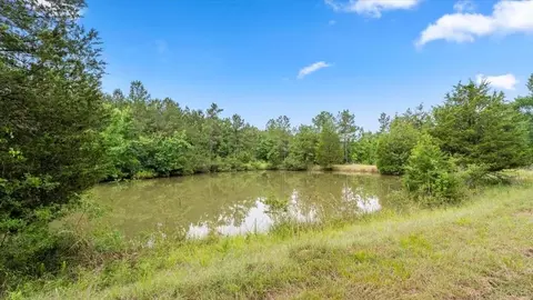 View/Area - tbd Sharp Ln, Coldspring, TX 77331 photo 26 of 28