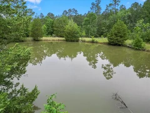 View/Area - tbd Sharp Ln, Coldspring, TX 77331 photo 10 of 28