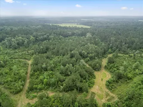 Other - tbd Sharp Ln, Coldspring, TX 77331 photo 2 of 17