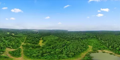 View/Area - tbd Sharp Ln, Coldspring, TX 77331 photo 14 of 28