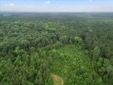 View/Area - tbd Sharp Ln, Coldspring, TX 77331 photo 11 of 28
