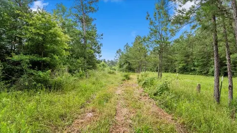 Other - tbd Sharp Ln, Coldspring, TX 77331 photo 14 of 17