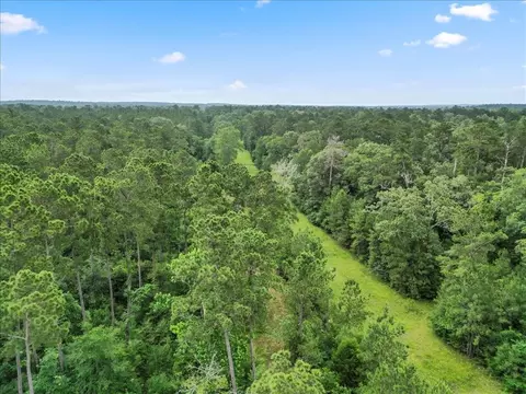 View/Area - tbd Sharp Ln, Coldspring, TX 77331 photo 16 of 28