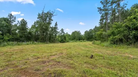 Other - tbd Sharp Ln, Coldspring, TX 77331 photo 9 of 17