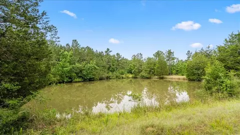 View/Area - tbd Sharp Ln, Coldspring, TX 77331 photo 27 of 28