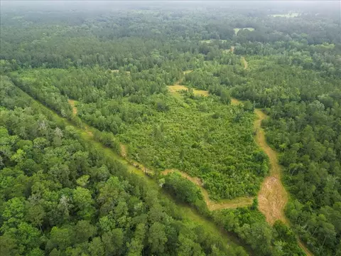 View/Area - tbd Sharp Ln, Coldspring, TX 77331 photo 21 of 28