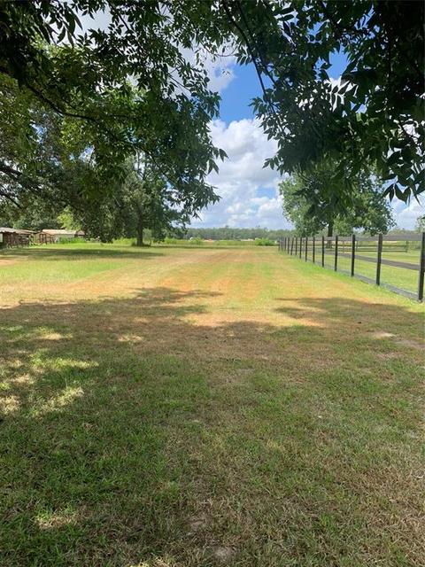 22550 Tree Monkey Rd, New Caney, TX 77357 photo 1