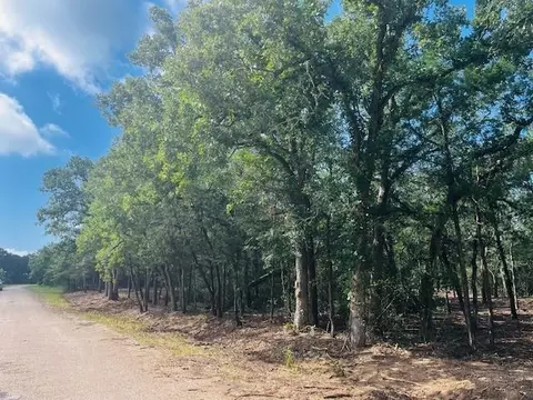 tbd Big Creek Forest Dr, Somerville, TX 77879