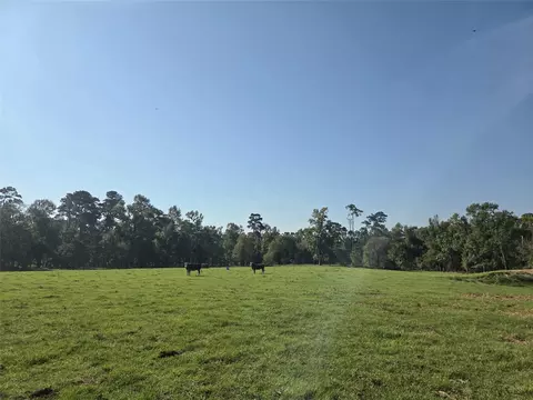 Other - 10094 Stidham Rd, Conroe, TX 77302 photo 3 of 18