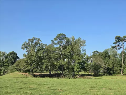 Other - 10094 Stidham Rd, Conroe, TX 77302 photo 15 of 18