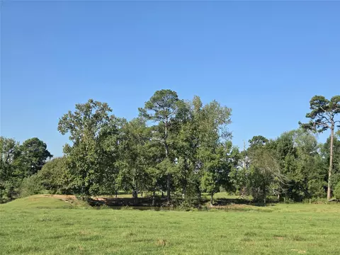 Other - 10094 Stidham Rd, Conroe, TX 77302 photo 18 of 18