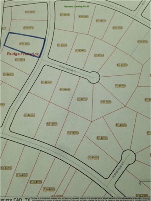 27215 Blue Cedar Ln, Spring, TX 77386 photo 1