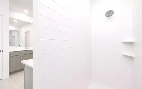 Bath - 29014 Red Loop Dr, New Caney, TX 77357 photo 4 of 5