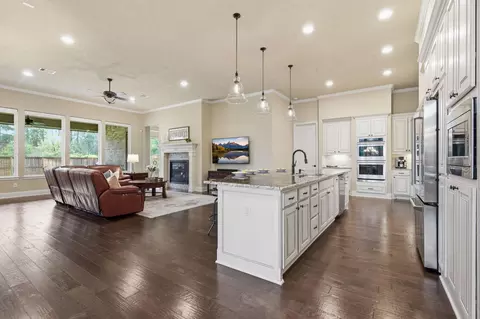 Other - 27506 Canton Acres Ct, Spring, TX 77386 photo 2 of 12