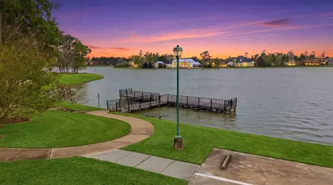 View/Area - 27506 Canton Acres Ct, Spring, TX 77386 photo 5 of 7