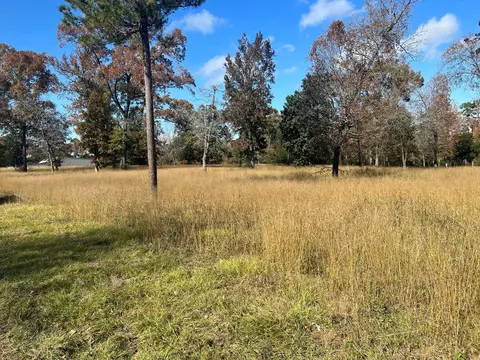 tbd S Houston Ave, Livingston, TX 77351