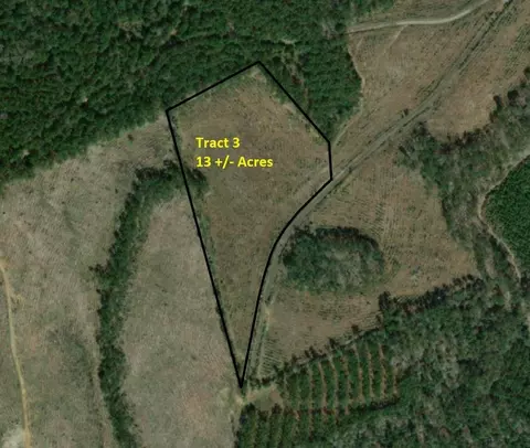 Tract 3 Cr 255, San Augustine, TX 75972