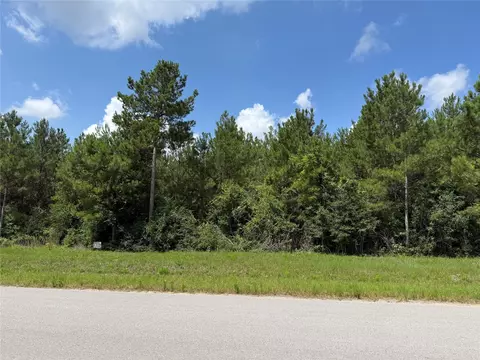 15751 Wood Grove Way, Willis, TX 77378