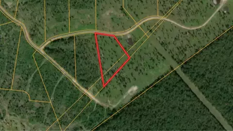 lot11 Eagle Falls Blvd, Trinity, TX 75862