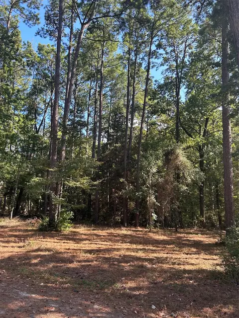 Tr 12 Grand Pine Loop, Livingston, TX 77351