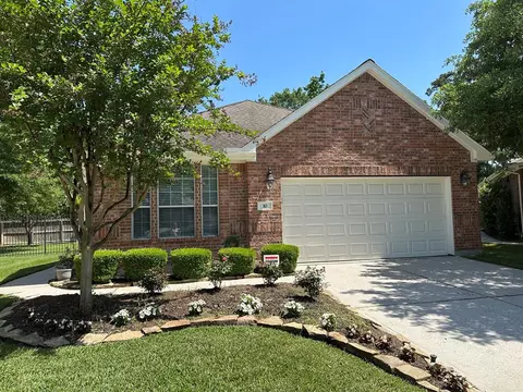 10 Gleneden Ct, Conroe, TX 77384 photo 1