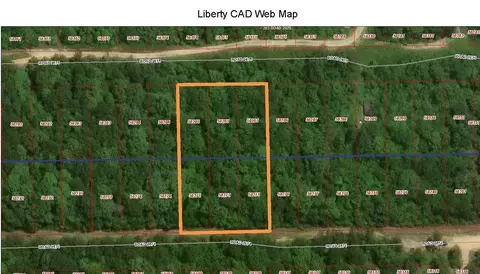 tbd Ole Gros Dr, Livingston, TX 77351