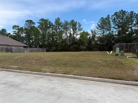 15706 Gibson Grass Ct, Spring, TX 77379