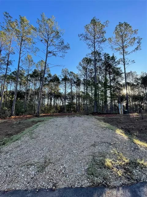 11350 Annie Creek Dr, Willis, TX 77378