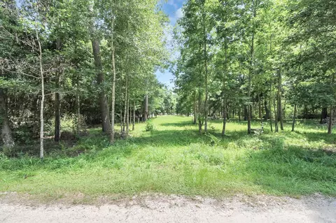 00 Golden Ln, Houston, TX 77336