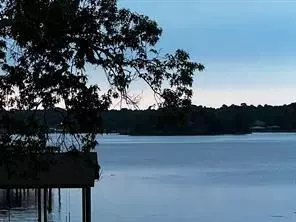 View/Area - 669 Lake Shore Dr, Trinity, TX 75862 photo 2 of 3