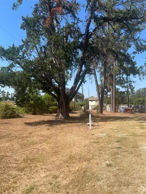 538 Lesa Ln, Spring, TX 77373 photo 11