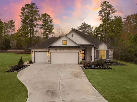 18309 Alana Nell Ct, Willis, TX 77378