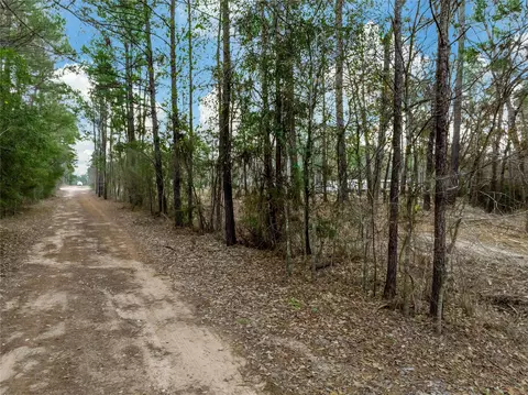 lot12 Mayhaw Ln, Plantersville, TX 77363