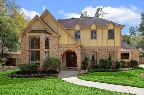 27 Dunlin Meadow Dr, The Woodlands, TX 77381 photo 1