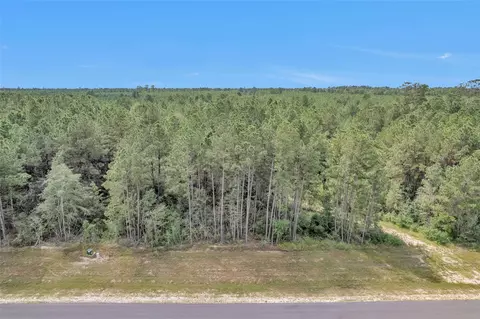 11976 Highbranch Way, Willis, TX 77378