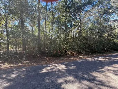 tbd 3 Lake Shore Dr, Conroe, TX 77303 photo 6