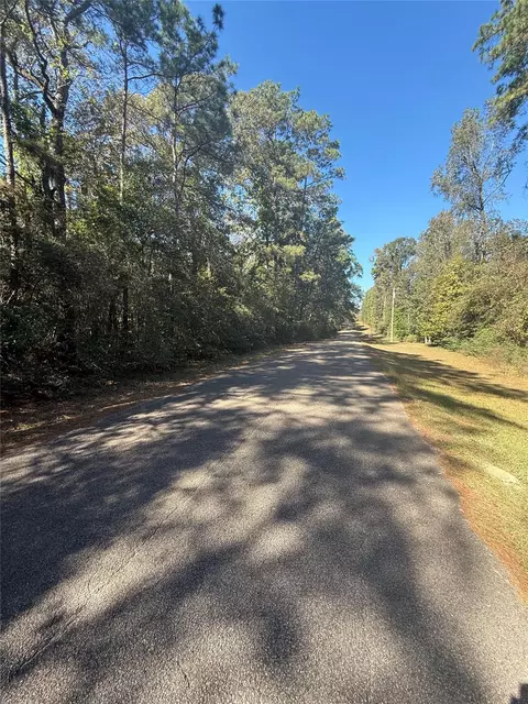 tbd 3 Lake Shore Dr, Conroe, TX 77303 photo 5