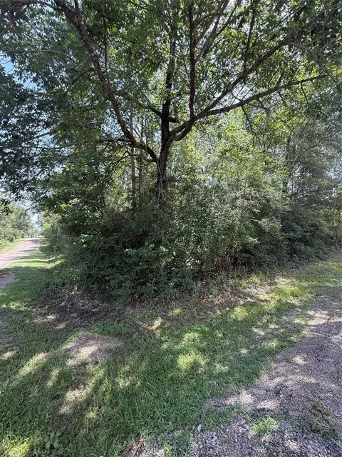 tbd Idlewilde, Onalaska, TX 77360 photo 9