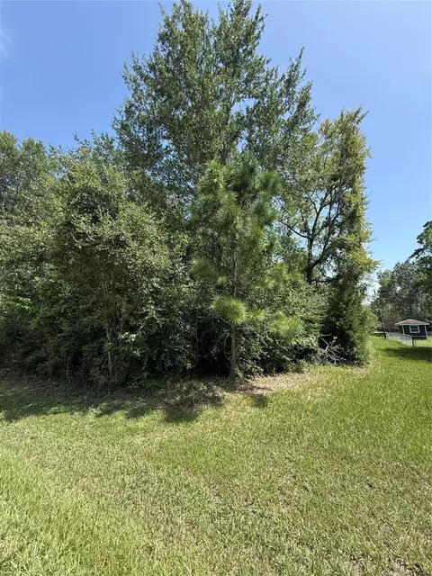 tbd Idlewilde, Onalaska, TX 77360 photo 2