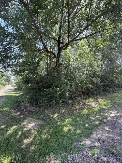 tbd Idlewilde, Onalaska, TX 77360 photo 6