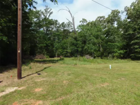 195 Moonlite Dr, Livingston, TX 77351