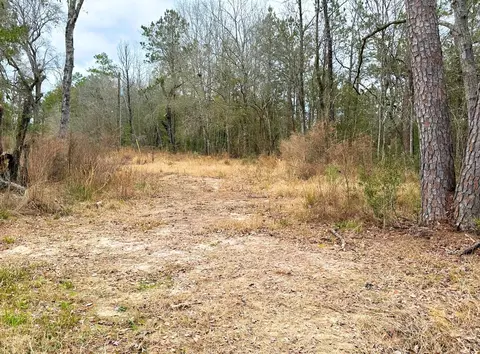 12280 Pelt, Kountze, TX 77625